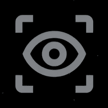 Agentic Vision in Gemini logo