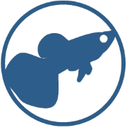 InterviewGuppy - Interview prep tool logo